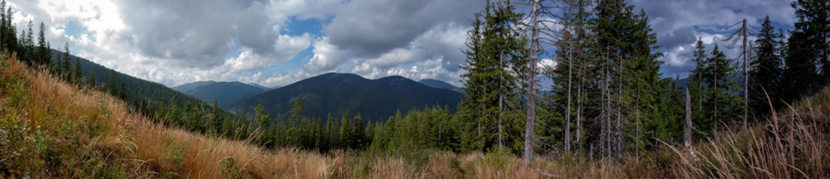 Wide panorama of evergreen mountain hills under beautiful clouds