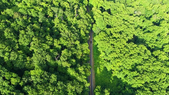 Mountain pass road in North Carolina Appalachian mountains, USA. Blue Ridge Parkway in summer season.