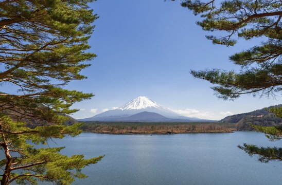 View over a lake to the volcano Mt Fuji, Motosu Lake, Yamanashi Prefecture, Japan