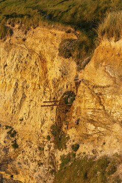 The Hidden Minecart, an old mining lorry or mine cart, in a rock face on Gwithian Beach. Evening, golden hour. Gwithian, Hayle, Cornwall, England, Great Britain