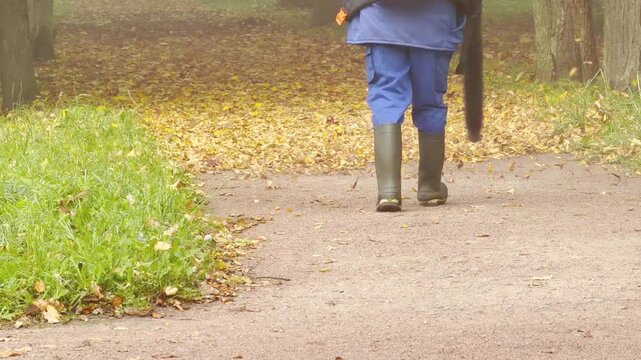 A worker clears fallen leaves on a path in Catherine Park, Pushkin, Saint Petersburg. Swirling golden foliage creates a cheerful and peaceful autumn mood.