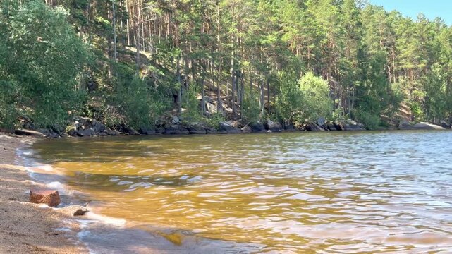 4K video of a peaceful lake shore surrounded by dense green forest in Borovoe, Burabay, Kazakhstan. Gentle waves wash onto the sandy and rocky shoreline on a sunny summer day.
