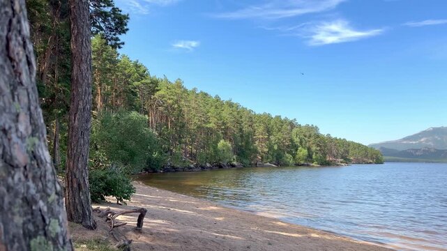 4K video of a scenic lake shore surrounded by pine forest in Borovoe, Burabay, Kazakhstan. Peaceful natural landscape with calm water, blue sky and mountains in the distance.
