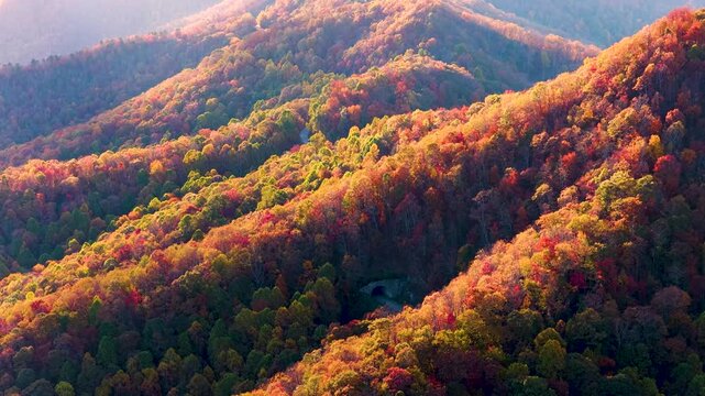 Road tunnel on Blue Ridge Parkway carved through the Appalachian Mountains in North Carolina at sunset. Vibrant fall foliage frames scenic highway and peaceful forest landscape.