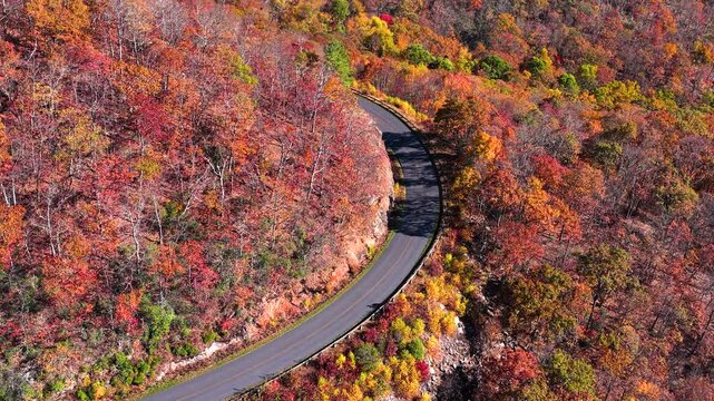 Scenic autumn roadway through Tennessee mountain forests with brilliant seasonal foliage. Quiet landscape featuring an empty road beneath colorful trees.
