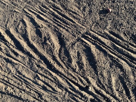 Close-up of plowed soil with parallel diagonal tire tracks and ridges in warm sunlight.