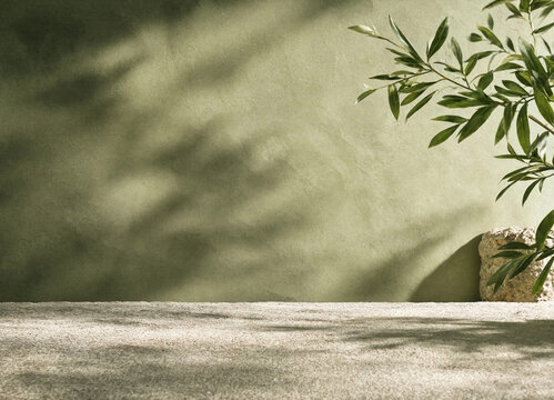 Green wall background with plant shadow and stone