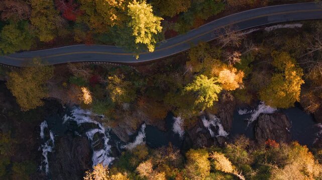 Vibrant woods surround a car driving near Cullasaja Falls. Highlands Road provides a scenic journey through North Carolina.