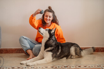 Young woman holding rubber ball above husky during playtime, toy raised above waiting muzzle, game that needs no park. Wide shot. Concept of playtime of northern dog with own owner © iwavephoto