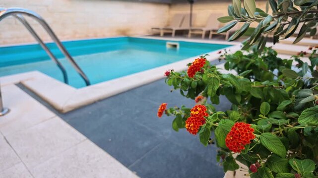 Outdoor swimming pool surrounded by sun loungers, umbrellas and Mediterranean plants