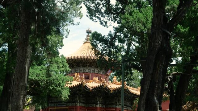 Traditional Imperial Pavilion Surrounded by Trees in the Forbidden City, Beijing, China