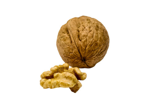 Whole walnut in shell and cracked nut kernel isolated on transparent background
