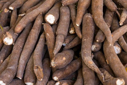 Traditional Open-Air Street Market in Northeastern Brazil with Fresh Cassava Roots (Manioc, Yuca, Mandioca) Displayed for Sale at a Local Food Stall, Brazilian Agriculture, Regional Cuisine and Cultur