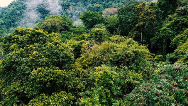 Drone footage presents a densely forested river valley in Ecuador&rsquo;s Oriente, where a rocky river runs between steep tropical rainforest slopes. Low cloud and mist hang over layered green mountains, wi
