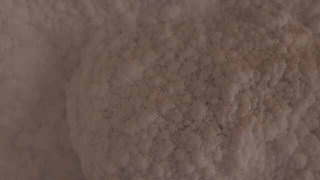 The salt cave walls on Qeshm Island feature textured mineral and crystalline salt formations. Close-up view of natural geological patterns and underground deposits. ProRes 422, 10-bit, C-Log video..