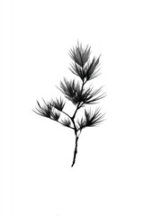 Fototapeta premium Minimalist black ink plant illustration.