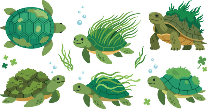 Sea turtle vector icon set featuring cute tortoises with green seaweed marine moss and bubbles isolated on white.