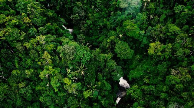 Drone footage looks across dense tropical rainforest covering steep mountain slopes in Ecuador's Oriente, where a pale, rocky river channel winds through a green valley. Low clouds and mist hang over 