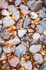 Granite stones covered with fallen yellow birch leaves, autumn background © Acorn Design