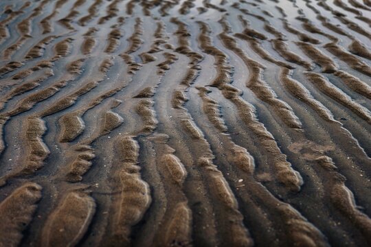 Photograph of tidal patterns in the Wadden Sea.