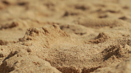 Natural golden brown sand grains on a summer beach with low angle perspective and blurred background texture © josh