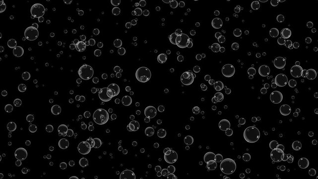 Water bubble particles float Animation