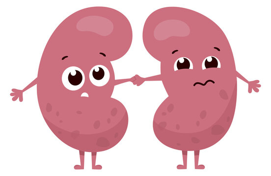 Sick kidneys. Unhealthy human organ cartoon mascot