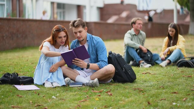 University students studying together on campus lawn