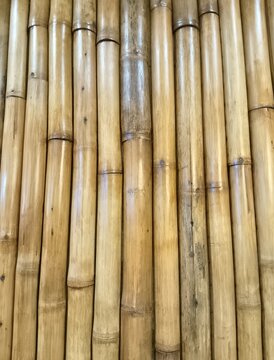 bamboo fence background