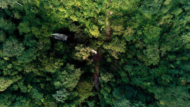 Aerial view of Erin Ijesha Waterfall surrounded by dense lush green forest canopy in Erin-Ijesa, Osun, Nigeria.