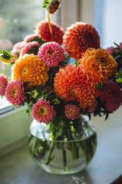 Elegant bouquet of beautiful bright colourful dahlias in a glass vase. Autumn mood, fall vibes