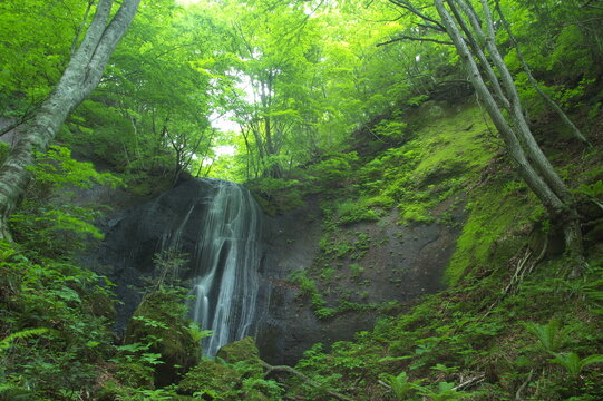 新緑の絶壁を滑り落ちる滝