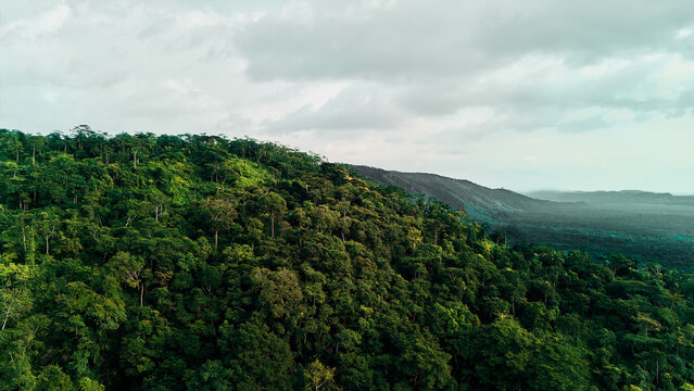 Aerial view of the lush green forest surrounding Erin Ijesha Waterfall, with rolling hills under a cloudy sky in Erin-Ijesa, Osun, Nigeria.