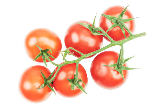 Cherry tomatoes cluster on green stems, vibrant red color gradient, natural organic feel, abundant fullness composition, white background contrast, even bright lighting, glossy texture, fine stem