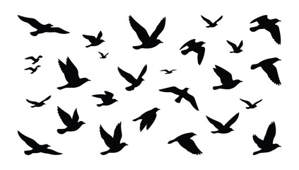 Fototapeta premium Flying bird silhouette collection, flock of birds in dynamic poses for architectural elevations, landscape visualization and outdoor design