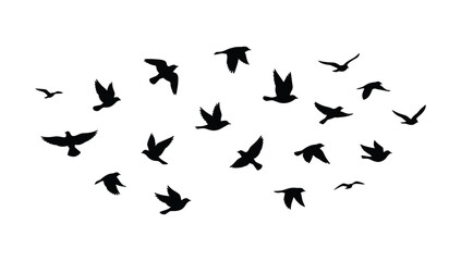 Fototapeta premium Flying bird silhouettes, flock of birds in dynamic flight for architectural entourage, landscape rendering, exterior elevations and graphic design