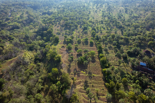 Aerial view of Savana Tulamben featuring lush green trees, terraced hillsides, and dry grassy slopes under bright daylight in Kubu, Bali, Indonesia.