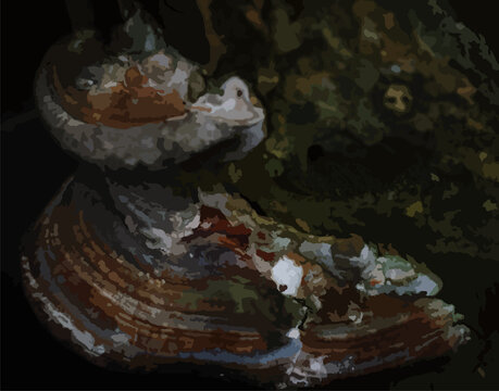 Naturaleza - texturas
