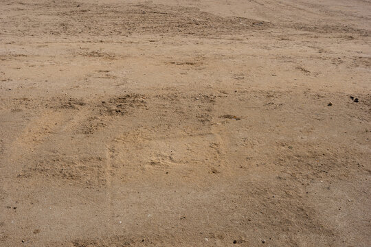 Dry sandy ground with subtle textures and natural patterns