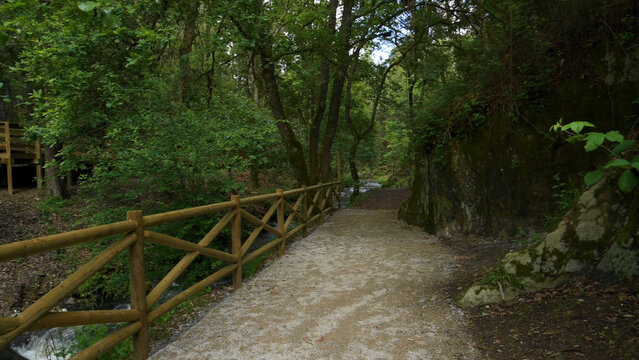 Wooden Pathway and Lush Forest at Estanislau Fountain Park in Ovar