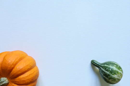 Orange pumpkin and green decorative gourd frame a white background with generous copy space, creating a simple autumn harvest seasonal template.