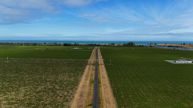 Aerial view of a vineyard with a straight road cutting through the green vines towards the coast in Marlborough Region, New Zealand.