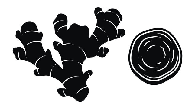 Ginger root and slice black silhouette vector icon
