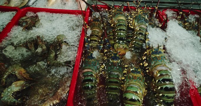 Large Prawns and Spiny Lobsters Displayed on Crushed Ice at Seafood Market