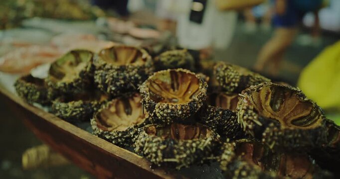Vietnamese Sea Urchins Nhum Bien Displayed as Asian Street Food Delicacy