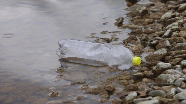 Environmental pollution, Plastic bottle washed up on the lake shore, Austria