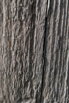 Close-up of a dark, heavily weathered wood texture with deep vertical grain and a central crack.
