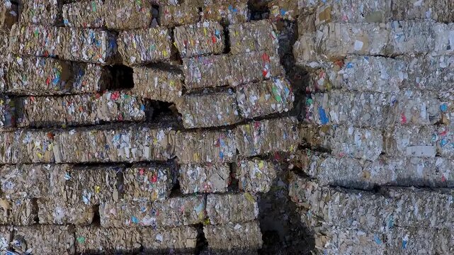 Industrial recycling factory processing scrap waste paper and old newspapers on automated conveyor belt