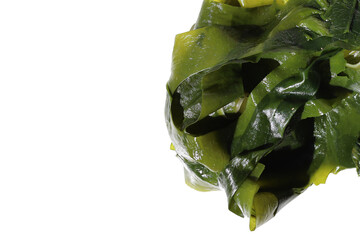 Fresh green wakame seaweed on a white background. © Bowonpat