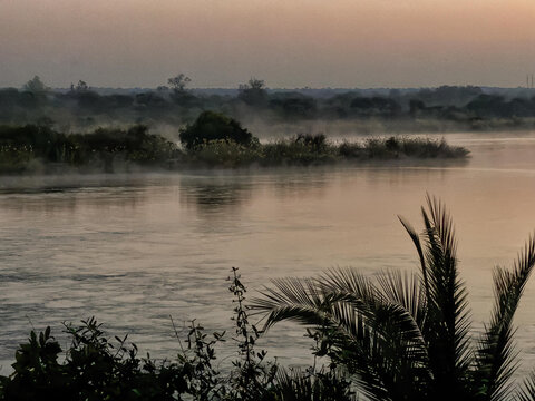 View of the Okavango Delta at dawn with mist rising over the river, lush vegetation, and palm fronds in the foreground in North-West District, Botswana.